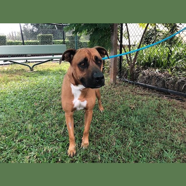 Photo of Eddie   K127956