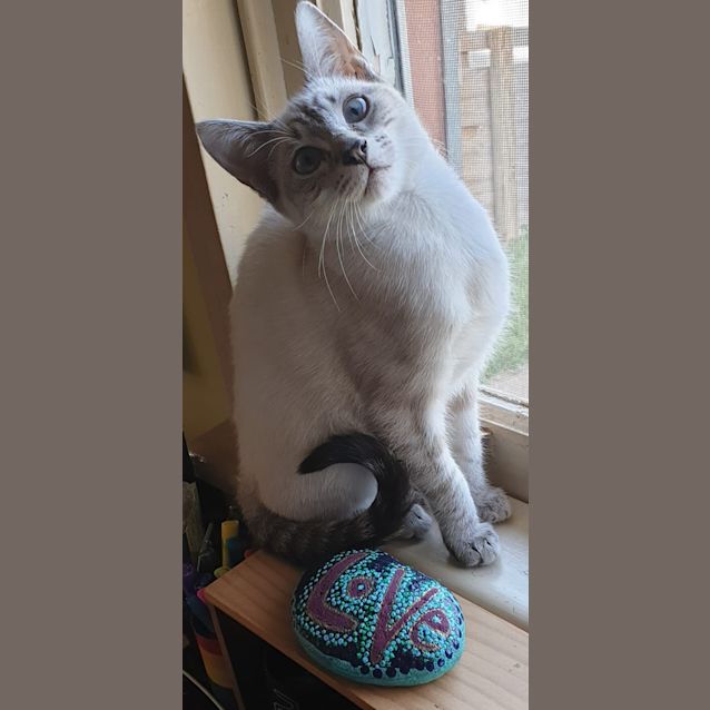 Photo of Snowflake