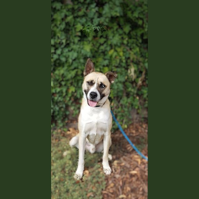 Photo of Maverick