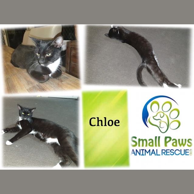Photo of Chloe