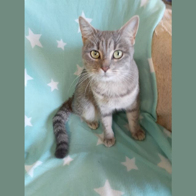 Photo of Edith