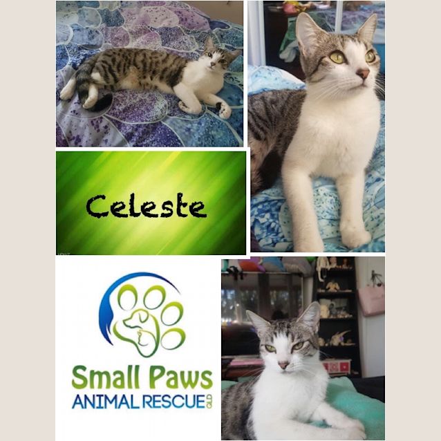 Photo of Celeste