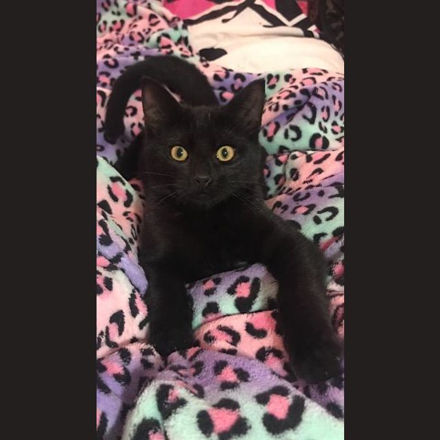 Photo of Jax