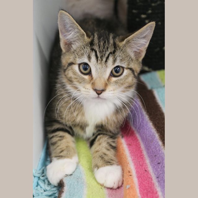 Photo of Asher