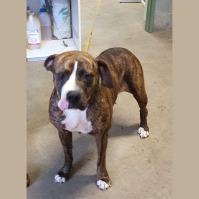 Photo of Ruby