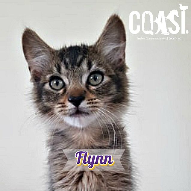 Photo of Flynn