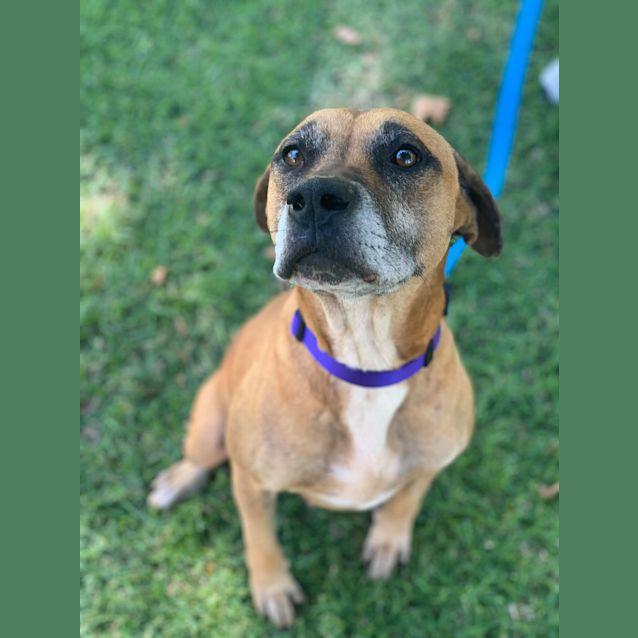 Photo of Zelda