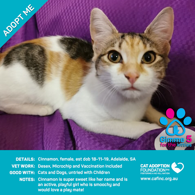 Photo of Cinnamon