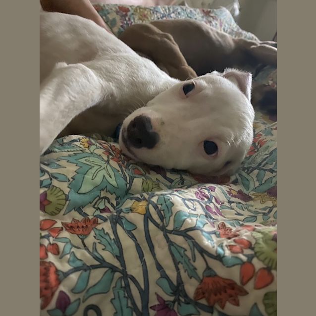 Photo of Zeus