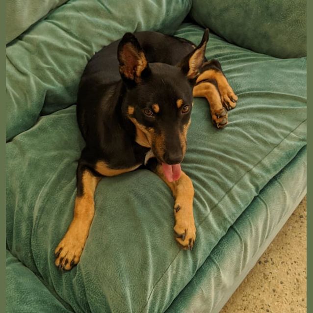 Photo of Molly