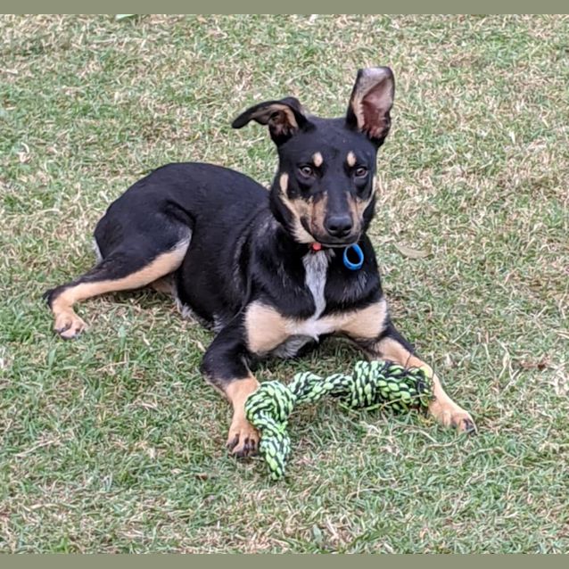 Photo of Tilly