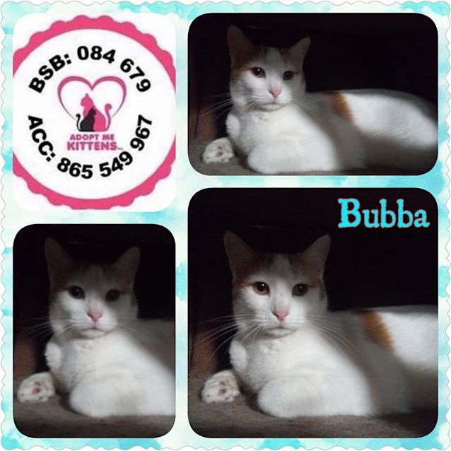 Photo of Bubba