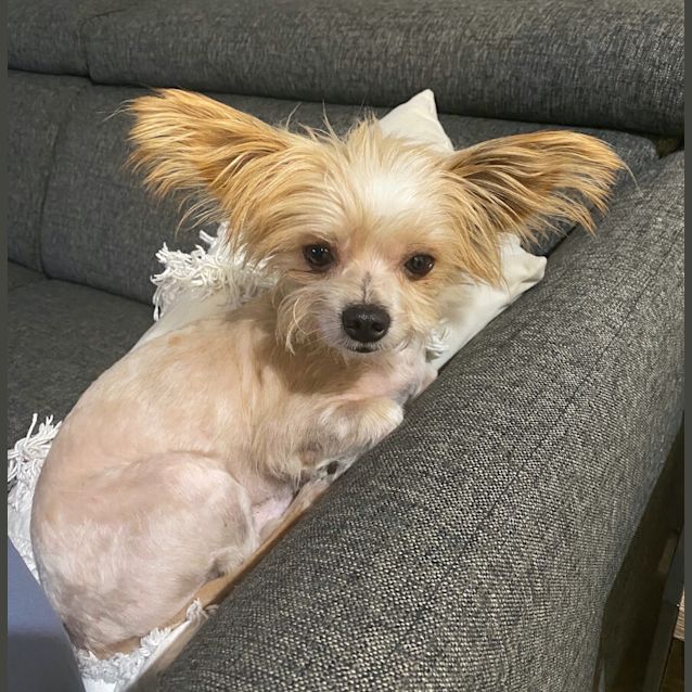 Photo of Hercules