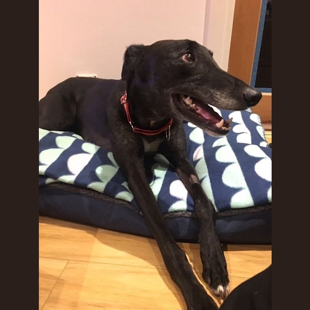 Photo of George.   Melbourne