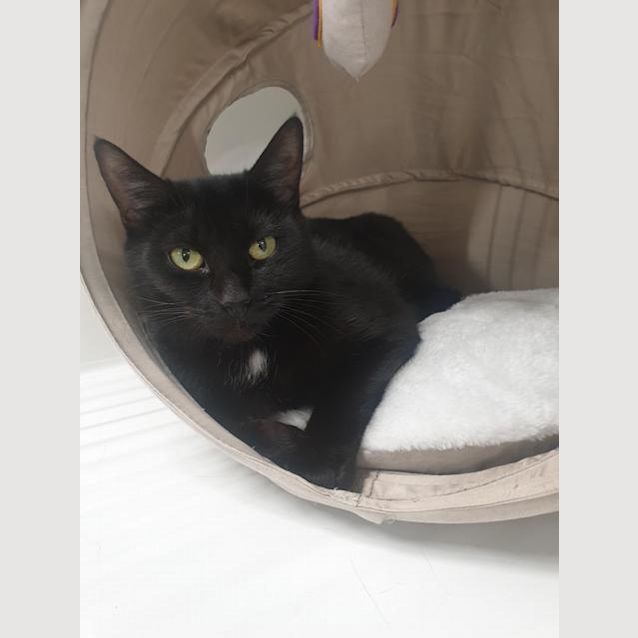 Photo of Esme