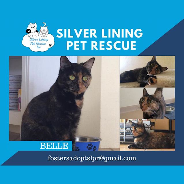 Photo of Belle 