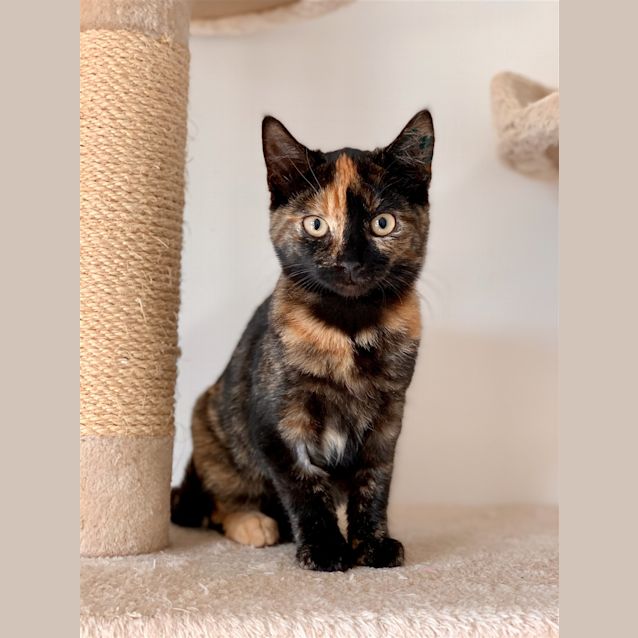 Photo of Zoe (Now Frankie)