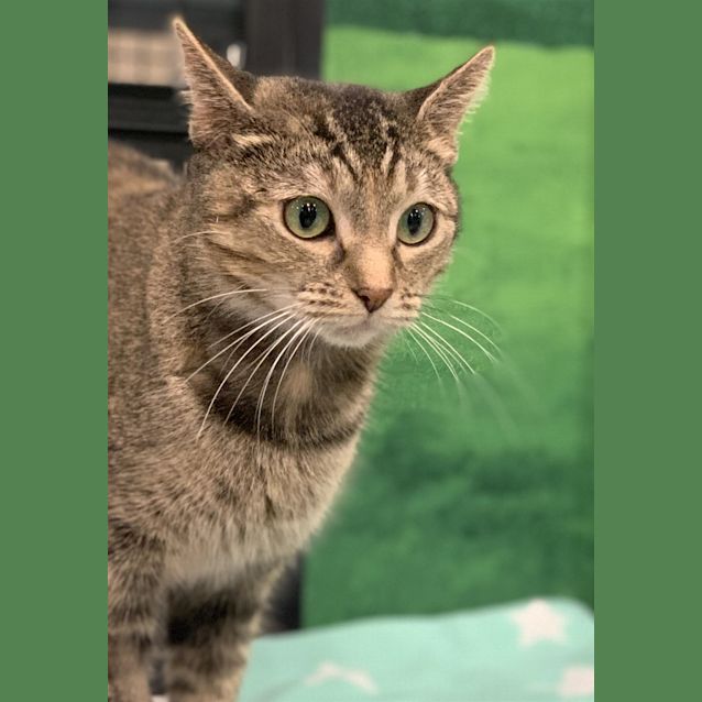 Photo of Kiki