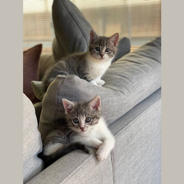 Photo of Baby