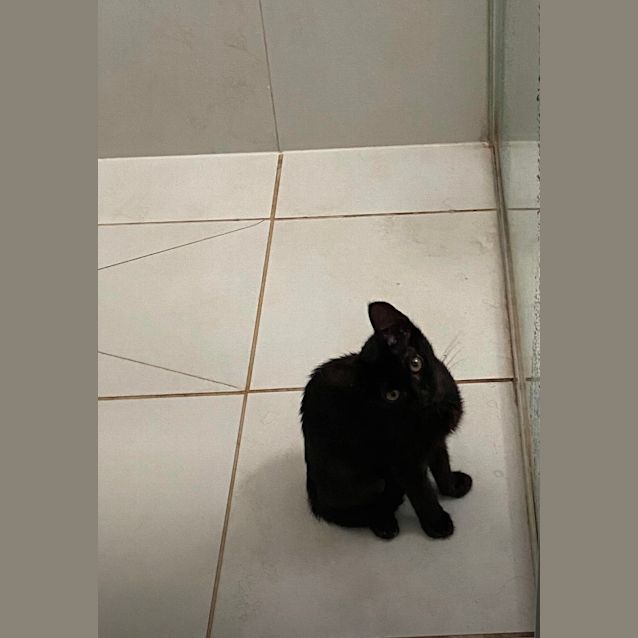 Photo of Fergus 