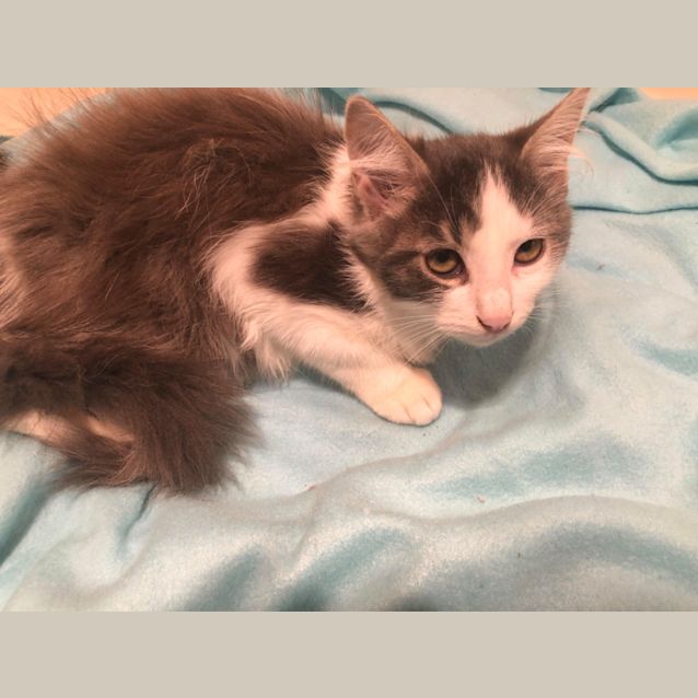 Photo of Zeus