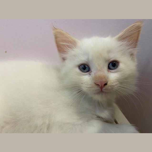 Photo of Fergus 