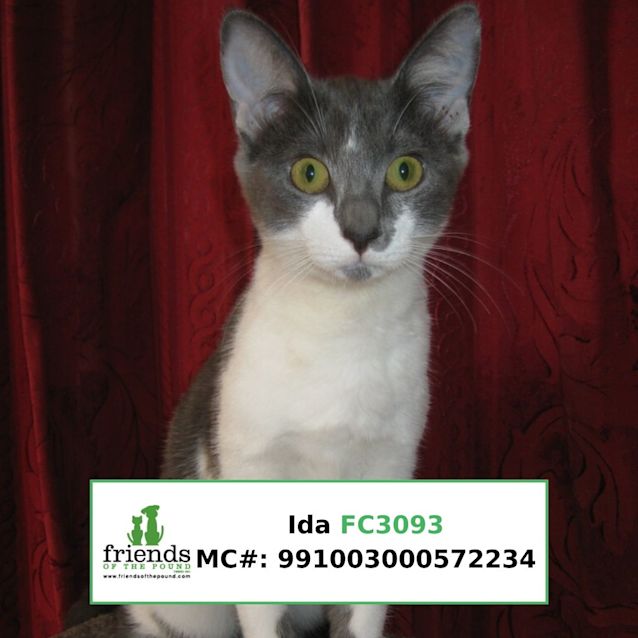 Photo of Ida