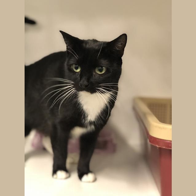Photo of Remi