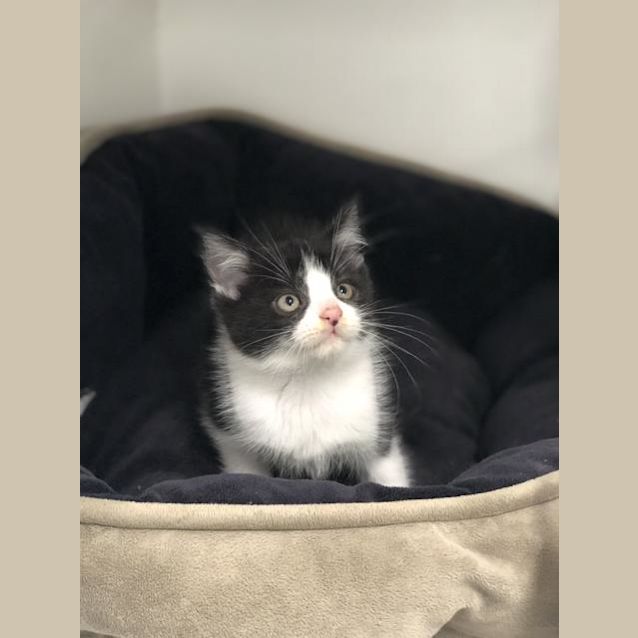 Photo of Tubs