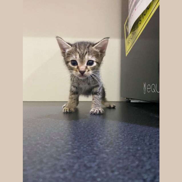 Photo of Milly