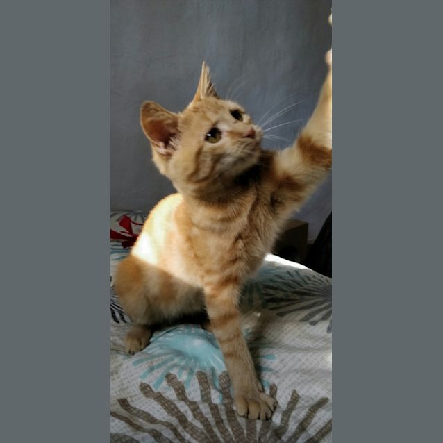 Photo of Annie