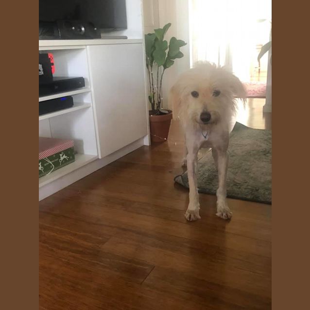 Photo of Bizzy