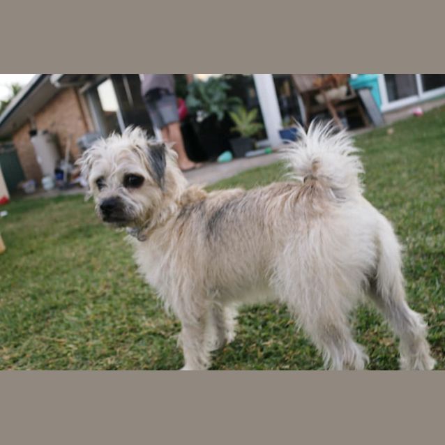 Photo of Smarty