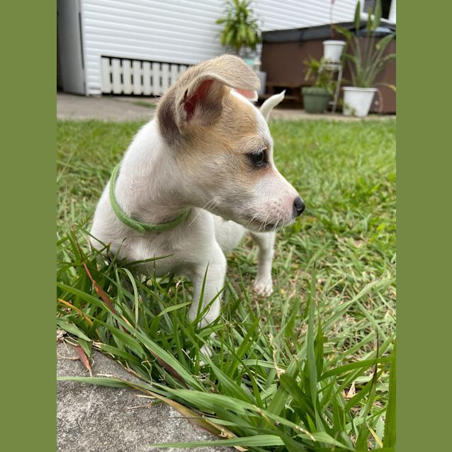Photo of Luigi