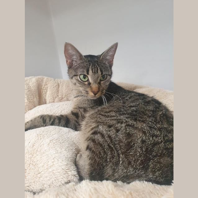 Photo of Charlotte