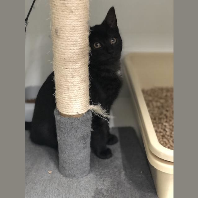 Photo of Bob