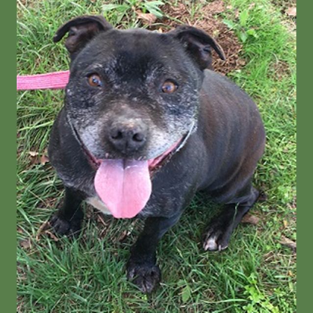 Photo of Chops