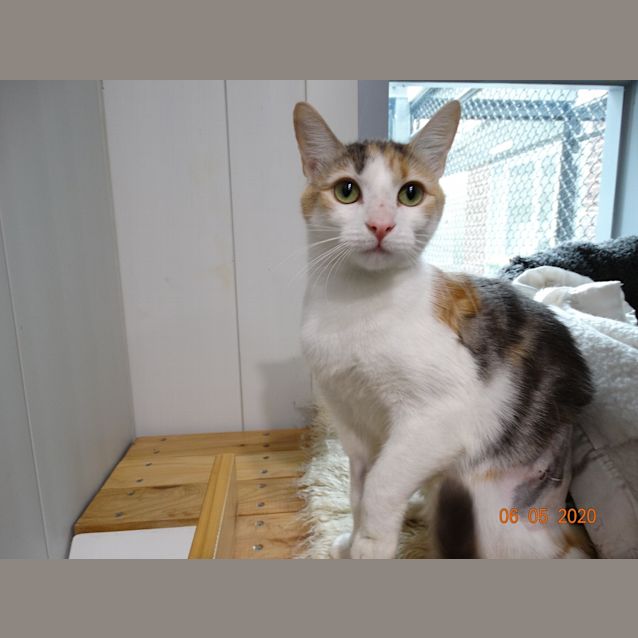 Photo of Maggie