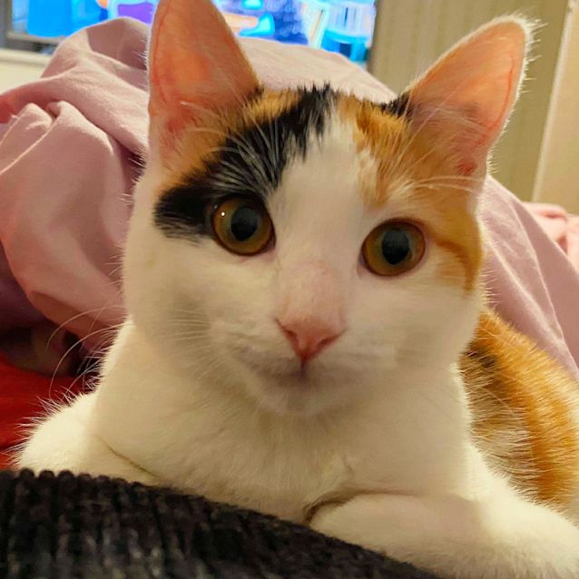 Photo of Rose & Dora