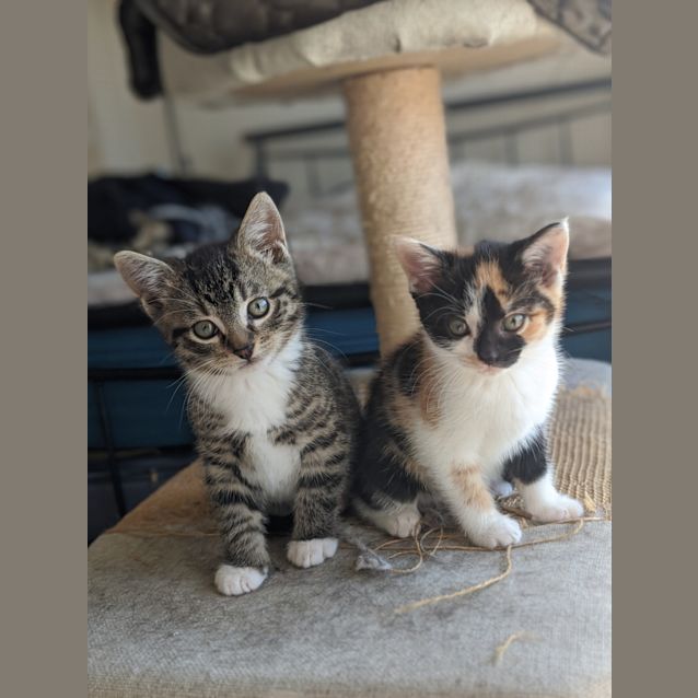 Photo of Aretha & Franklin