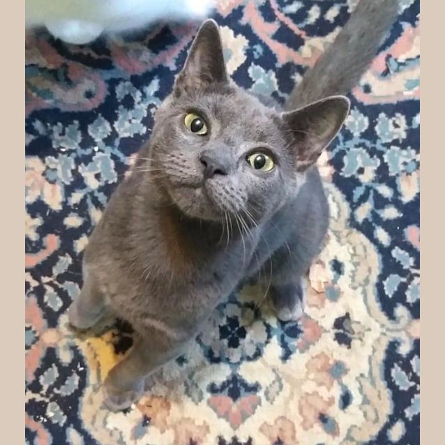 Photo of Fizzy