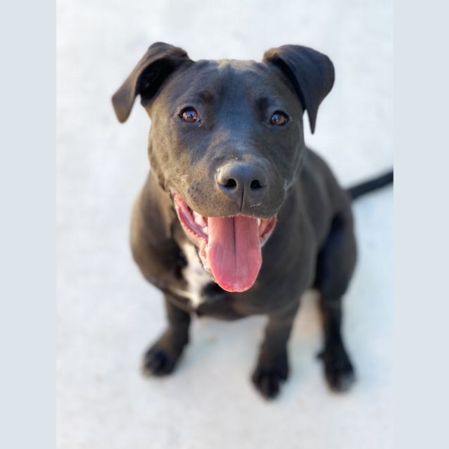 Photo of Roxy