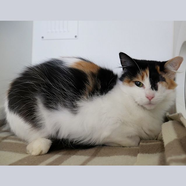 Photo of Prudence Sta005142