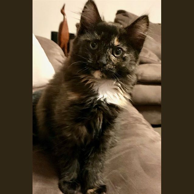 Photo of Nora