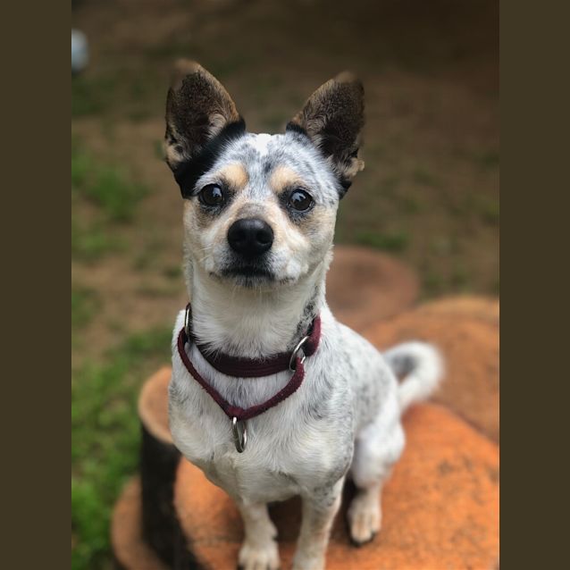 Photo of Gavin