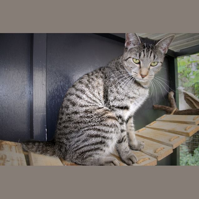 Photo of Bobby