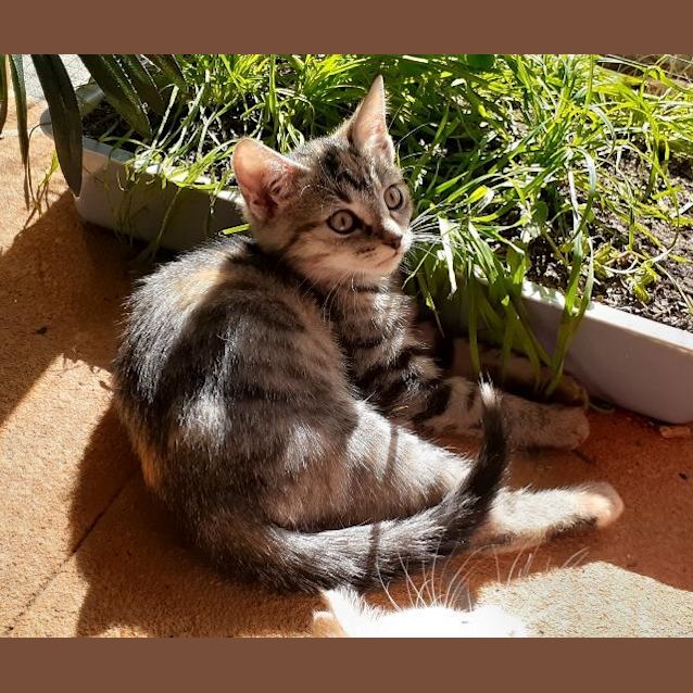 Photo of Mina