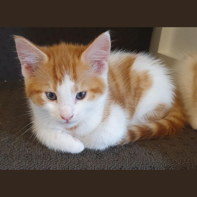Photo of Brandon (Now Normie)
