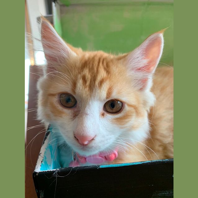 Photo of Ed