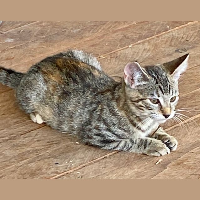 Photo of Tina
